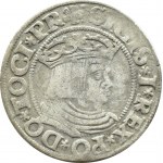Sigismondo I il Vecchio, Centesimo della città1531 PR, Danzica