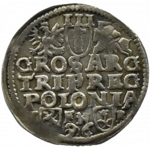 Sigismondo III Vasa, trojak 1596, Poznań