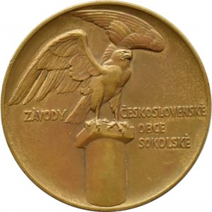 Czechoslovakia, Závody Československé Obce Sokolské medal, sig. Horejc