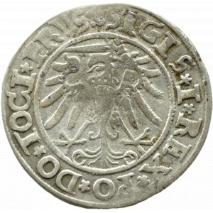 Zygmunt I Stary, grosz miejski 1534, Elbląg