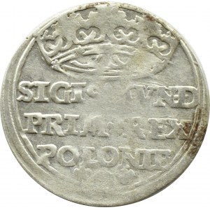 Zygmunt I Stary, grosz 1528, Kraków