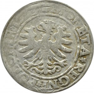 Zygmunt I Stary, grosz 1529, Kraków