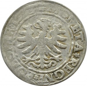 Sigismund I the Old, penny 1529, Cracow