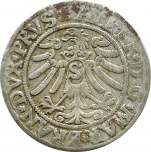 Ducal Prussia, Albrecht, Prussian penny 1533, Königsberg