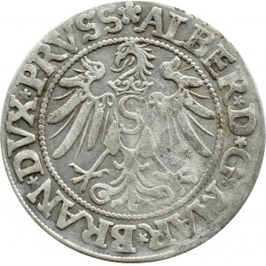 Prusy Książęce, Albrecht, grosz pruski 1534, Królewiec