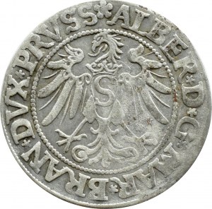 Ducal Prussia, Albrecht, Prussian penny 1534, Königsberg