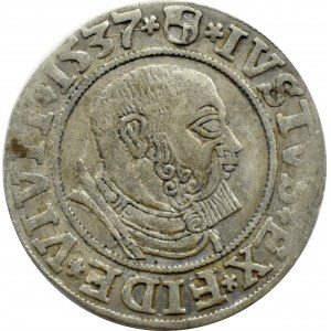 Prusy Książęce, Albrecht, grosz pruski 1537, Królewiec