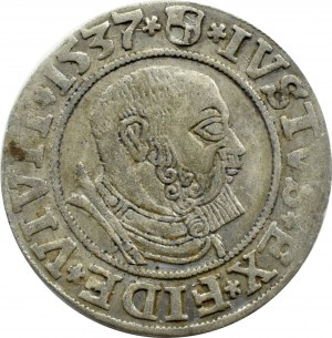 Ducal Prussia, Albrecht, Prussian penny 1537, Königsberg