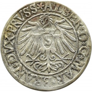 Prusy Książęce, Albrecht, grosz pruski 1538, Królewiec