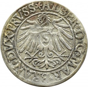 Ducal Prussia, Albrecht, Prussian penny 1538, Königsberg