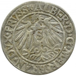 Prusy Książęce, Albrecht, grosz pruski 1538, Królewiec