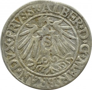 Ducal Prussia, Albrecht, Prussian penny 1538, Königsberg