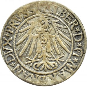 Prusy Książęce, Albrecht, grosz pruski 1539, Królewiec