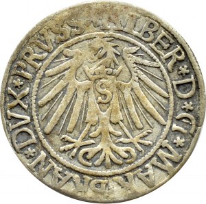 Ducal Prussia, Albrecht, Prussian penny 1539, Königsberg