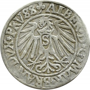 Prusy Książęce, Albrecht, grosz pruski 1541, Królewiec