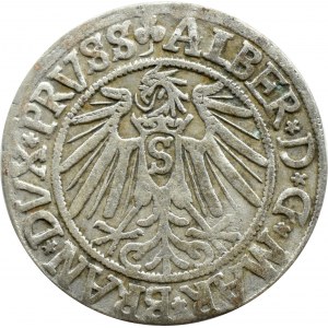 Prusy Książęce, Albrecht, grosz pruski 1541, Królewiec
