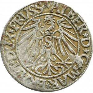 Prusy Książęce, Albrecht, grosz pruski 1544, Królewiec, ODWRÓCONE N