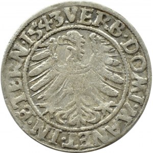 Śląsk, Ks. Legnicko-Brzesko-Wołowskie, Fryderyk II Legnicki, grosz 1543, Brzeg