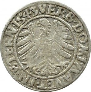 Silesia, Ks. Legnicko-Brzesko-Wołowskie, Frederick II Legnicki, penny 1543, Brzeg