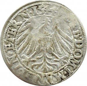 Silesia, Ks. Legnicko-Brzesko-Wołowskie, Frederick II Legnicki, penny 1544 LESI, Brzeg - RARE
