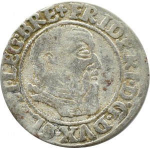 Śląsk, Ks. Legnicko-Brzesko-Wołowskie, Fryderyk II Legnicki, grosz 1544, Brzeg