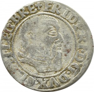 Silesia, Ks. Legnicko-Brzesko-Wołowskie, Frederick II Legnicki, penny 1544, Brzeg