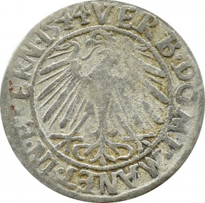 Silesia, Ks. Legnicko-Brzesko-Wołowskie, Frederick II Legnicki, penny 1544, Brzeg