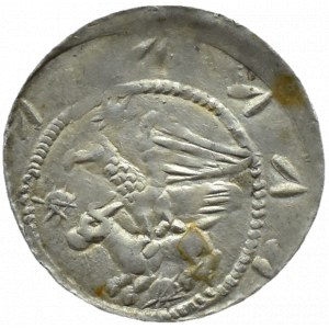 Władysław II Wygnaniec (1138-1146), denar - Orzeł i Zając, TRZY GWIAZDY i BERŁO, Kraków
