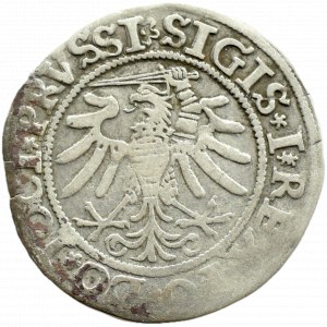 Sigismund I the Old, city penny 1533, Elbląg