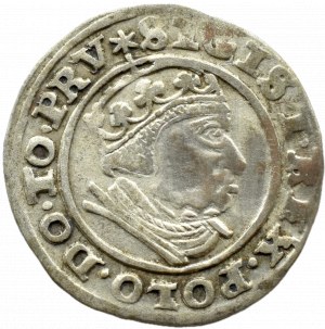 Sigismund I the Old, city penny 1540 PRV, Gdansk, RARE
