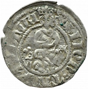 Kazimierz Wielki, kwartnik duży (półgrosz) +IIONETA, Kraków, TYP V RZADSZY