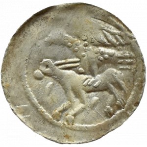 Władysław II Wygnaniec (1138-1146), denar - Orzeł i Zając, KLINY W DÓŁ i GWIAZDA, Kraków