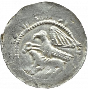 Wladyslaw II Wygnaniec (1138-1146), denarius - Eagle and Hare, WITHOUT DECORATION, Krakow