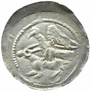 Władysław II Wygnaniec (1138-1146), denar - Orzeł i Zając, BEZ OZDOBNIKÓW, Kraków