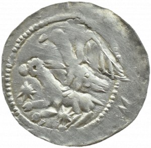 Wladyslaw II Wygnaniec (1138-1146), denarius - Eagle and Hare, TWO STARS, Krakow