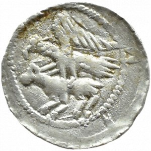 Władysław II Wygnaniec (1138-1146), denar - Orzeł i Zając, GWIAZDA ZA KSIĘCIEM, Kraków