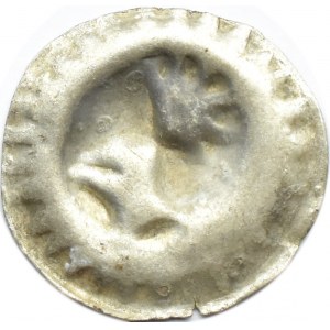 Niemcy, Brandenburgia, Fryderyk II, brakteat bez daty, hełm z piórami