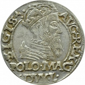 Sigismund II Augustus, penny per Polish foot 1566 L/LIT, Tykocin RZADKI