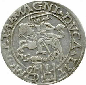 Sigismund II Augustus, penny per Polish foot 1566 L/LIT, Tykocin RZADKI