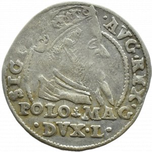 Sigismund II Augustus, penny per Polish foot 1567 L/LIT, Tykocin, RZADKI