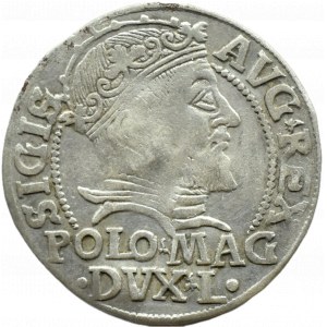 Zygmunt II August, grosz na stopę polską 1547 L/LITVA, Wilno