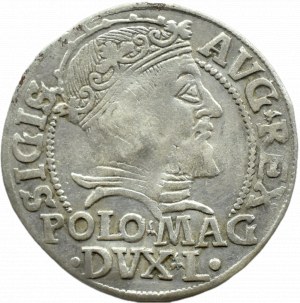 Sigismund II Augustus, penny per Polish foot 1547 L/LITVA, Vilnius