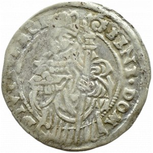 Silesia, Duchy of Cieszyn, Wenceslas III Adam, white penny 1560, Cieszyn