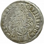 Silesia, Duchy of Cieszyn, Wenceslas III Adam, white penny 1560, Cieszyn