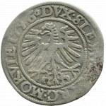 Silesia, Habsburg rule, Ferdinand I, penny 1546, Wroclaw VERY RARE