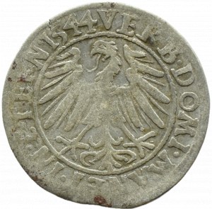 Silesia, Ks. Legnicko-Brzesko-Wołowskie, Frederick II Legnicki, penny 1544, Brzeg