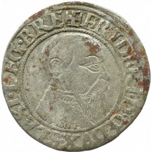 Silesia, Ks. Legnicko-Brzesko-Wołowskie, Frederick II Legnicki, penny 1543, Brzeg