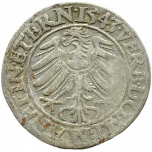 Silesia, Ks. Legnicko-Brzesko-Wołowskie, Frederick II Legnicki, penny 1543, Brzeg