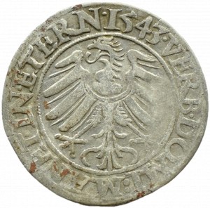Silesia, Ks. Legnicko-Brzesko-Wołowskie, Frederick II Legnicki, penny 1543, Brzeg