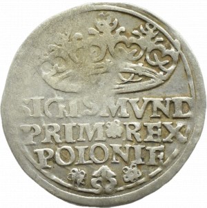 Sigismund I the Old, penny 1529, Cracow